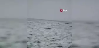 Doğu'da mayıs ayında kar yağışı sürprizi