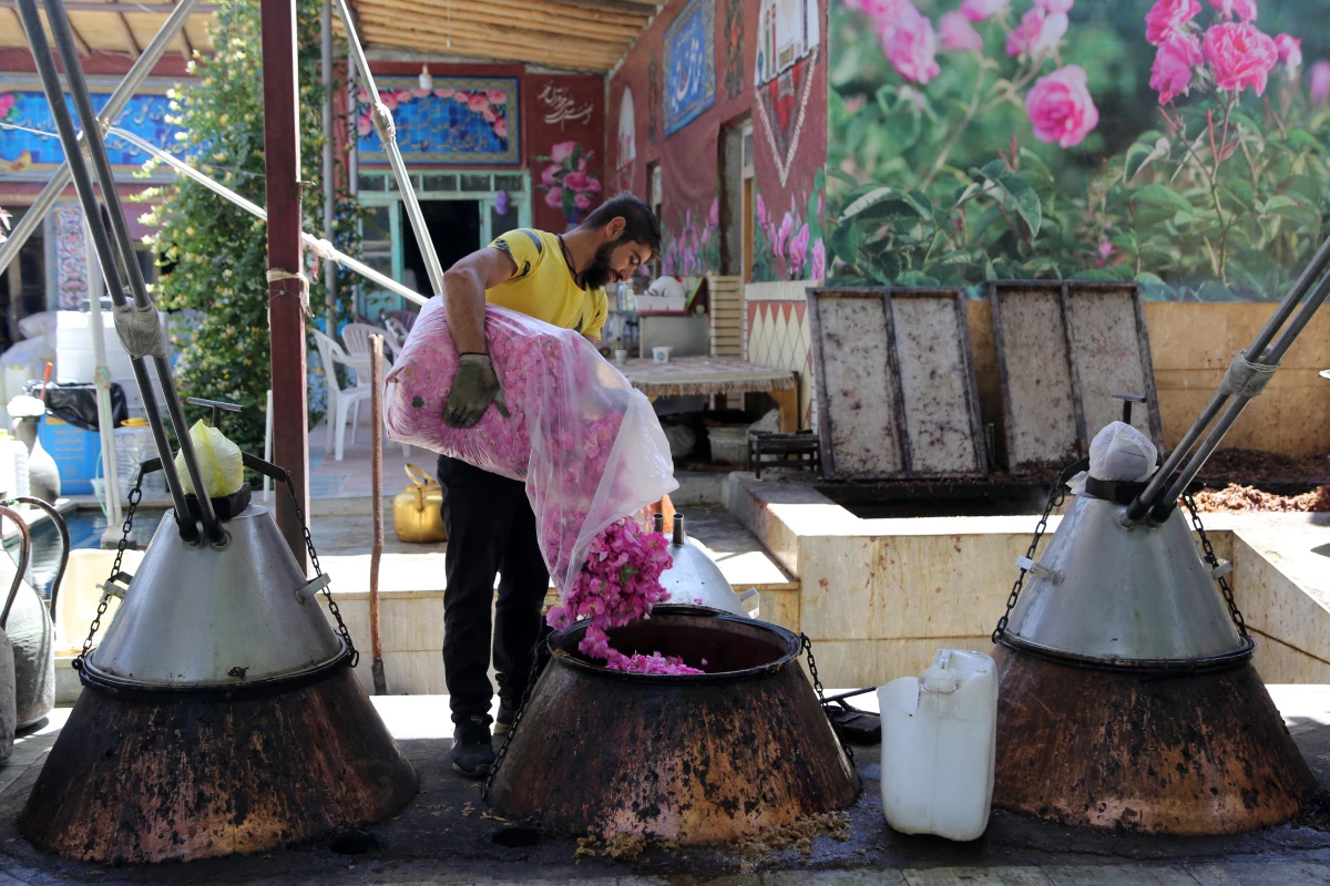 İran\'ın "gül ve gül suyu başkenti" Kemser\'de geleneksel yöntemle üretim sürüyor
