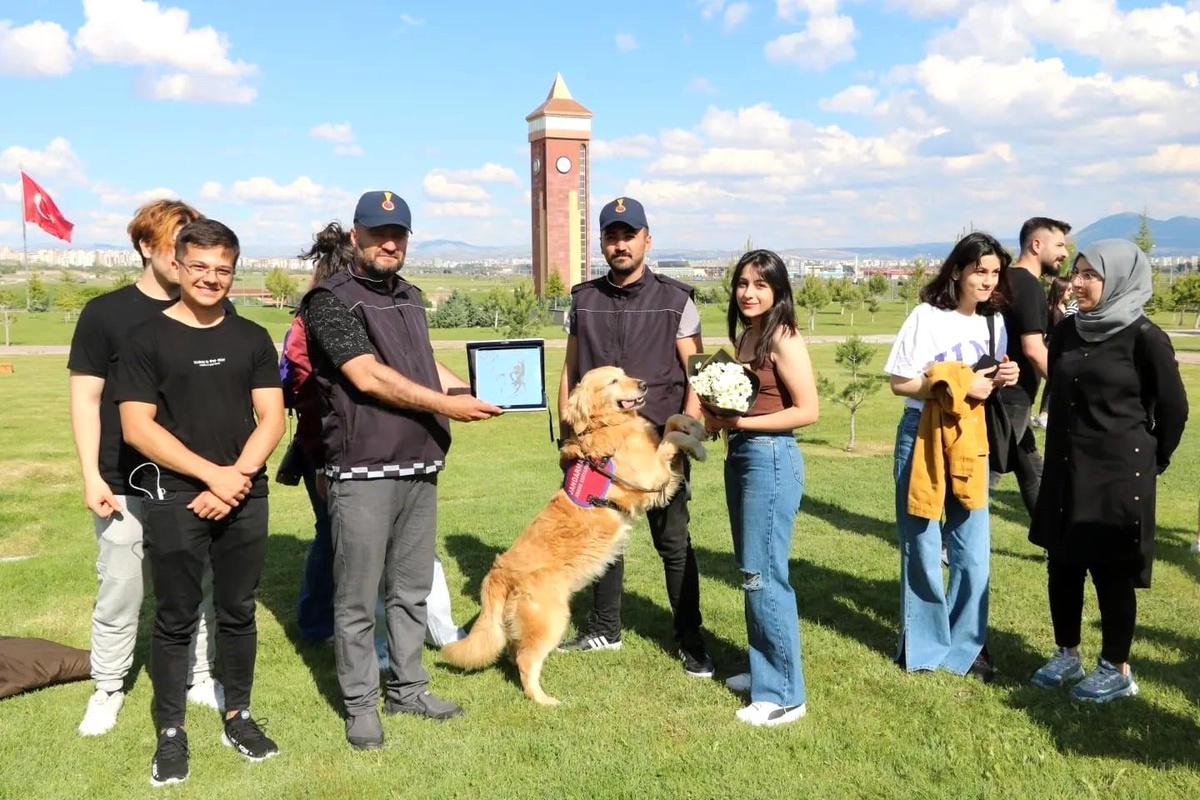 Jandarmanın kahraman köpekleri büyük beğeni topladı