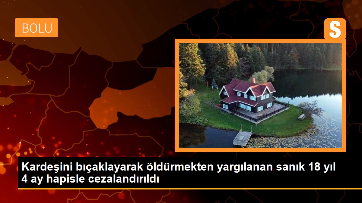 Kardeşini bıçaklayarak öldürmekten yargılanan sanık 18 yıl 4 ay hapisle cezalandırıldı