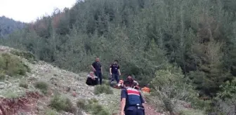 Kayalıklardan düşen çoban yaralandı