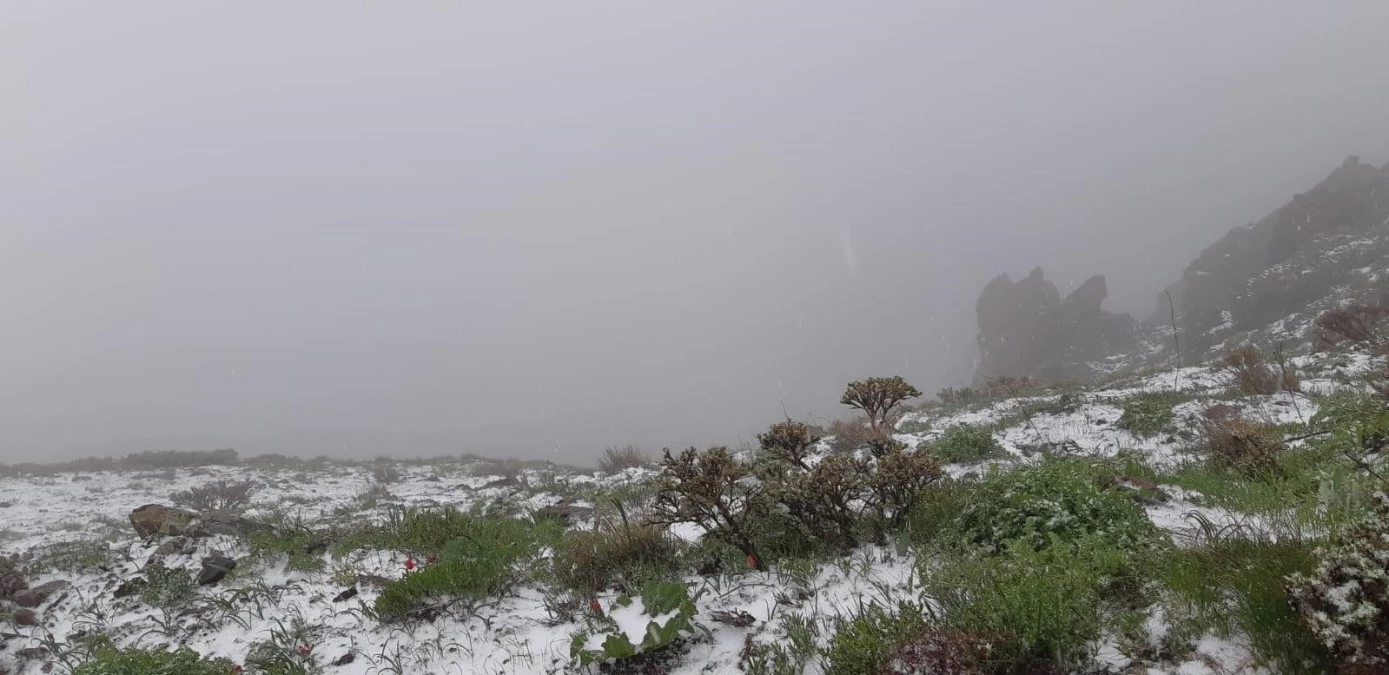 Mayıs sonunda şaşırtan görüntü, Tunceli\'nin yüksek kesimlerine kar yağdı