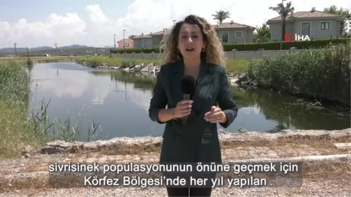 ZİHA\'ların hedefinde sivrisinekler var