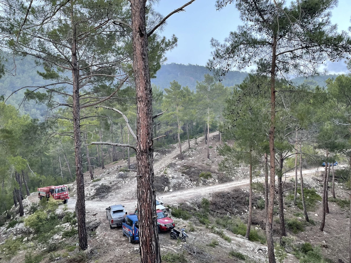 Alanya\'da orman yangınında 5 dönüm alan zarar gördü