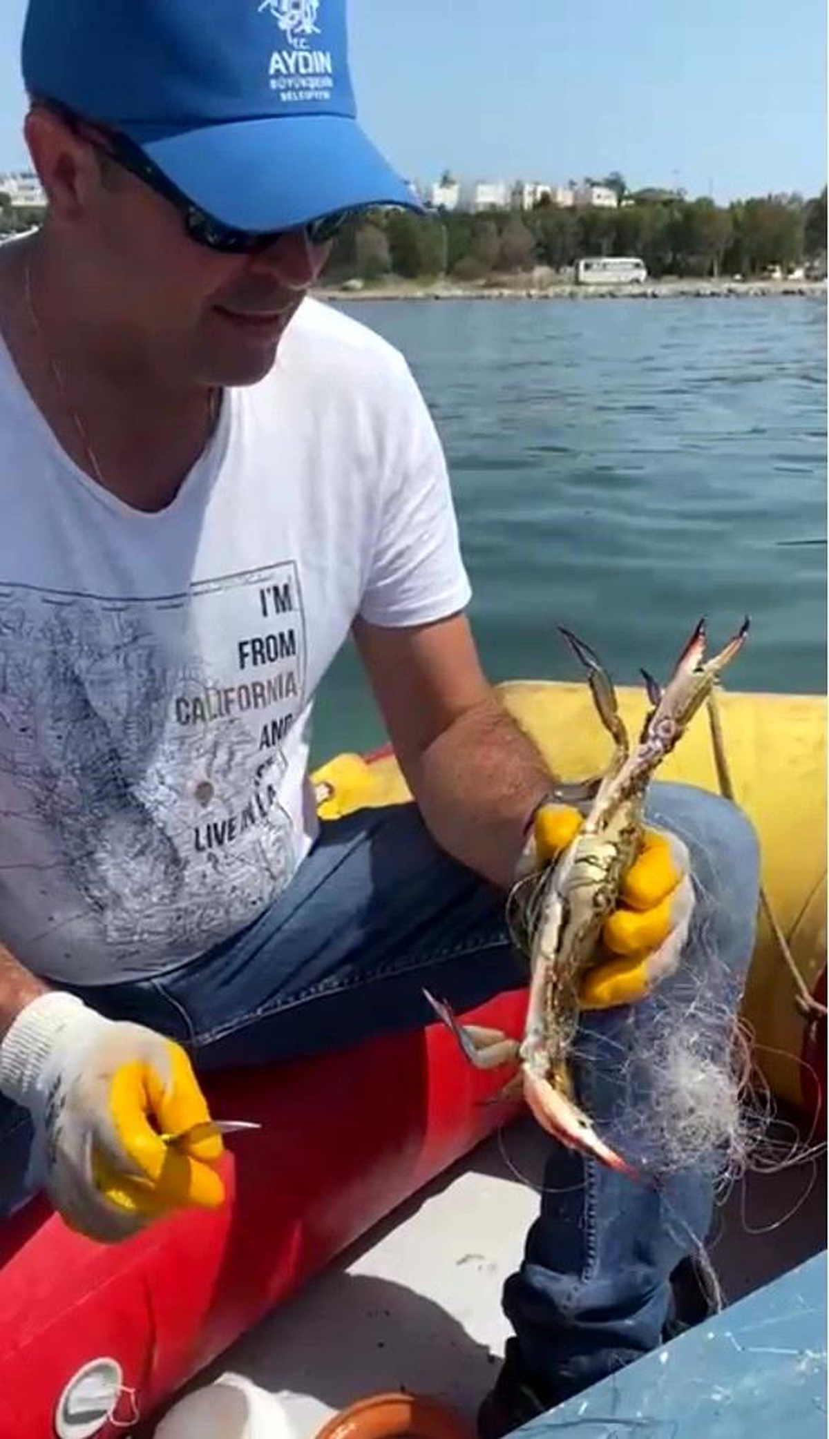 Aydın Büyükşehir Belediyesi ekipleri hayalet ağa takılan yengeci kurtardı