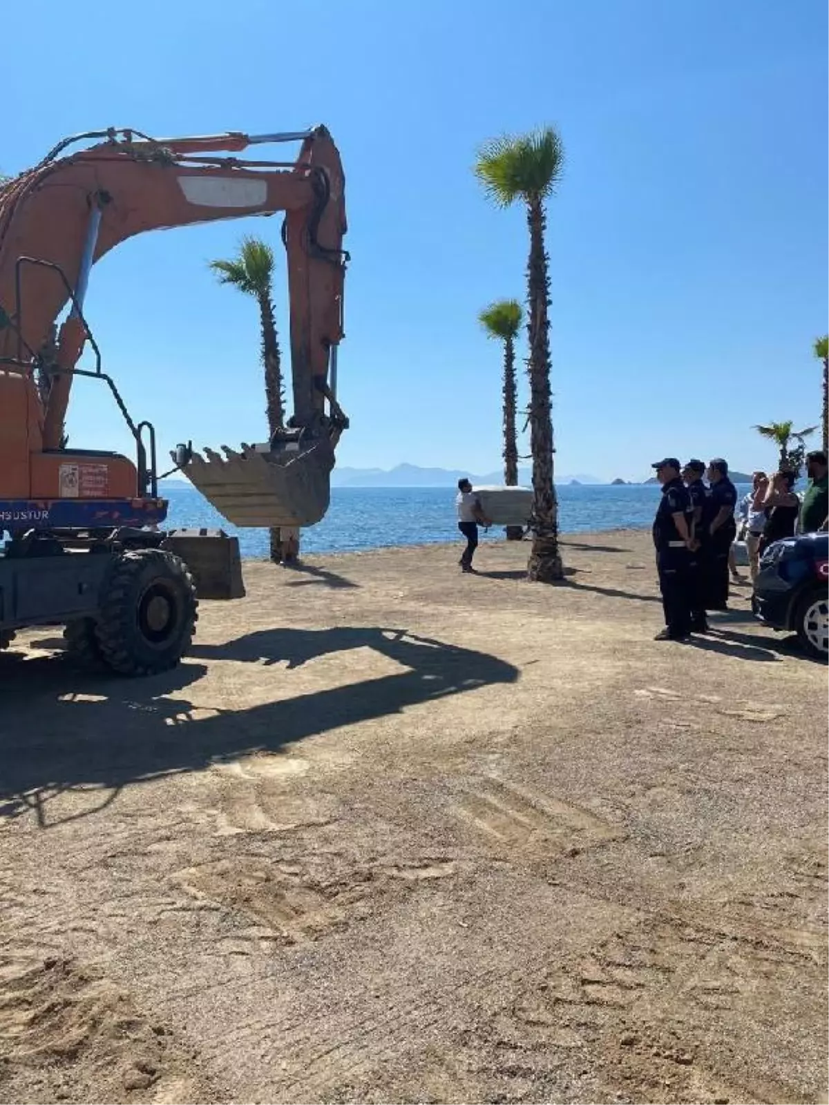 Bodrum'da sahildeki kaçak yapılar yıkıldı, izinsiz dikilen palmiyeler söküldü