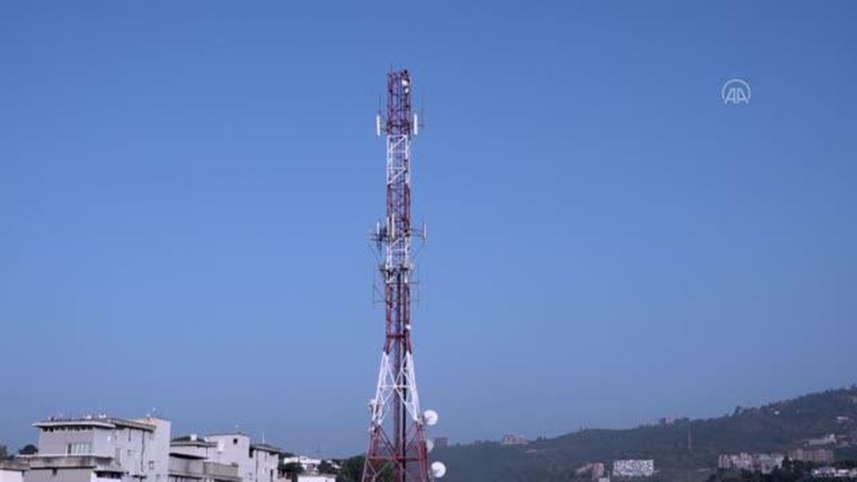 Karakas'ın renkli misafirleri: Papağanlar