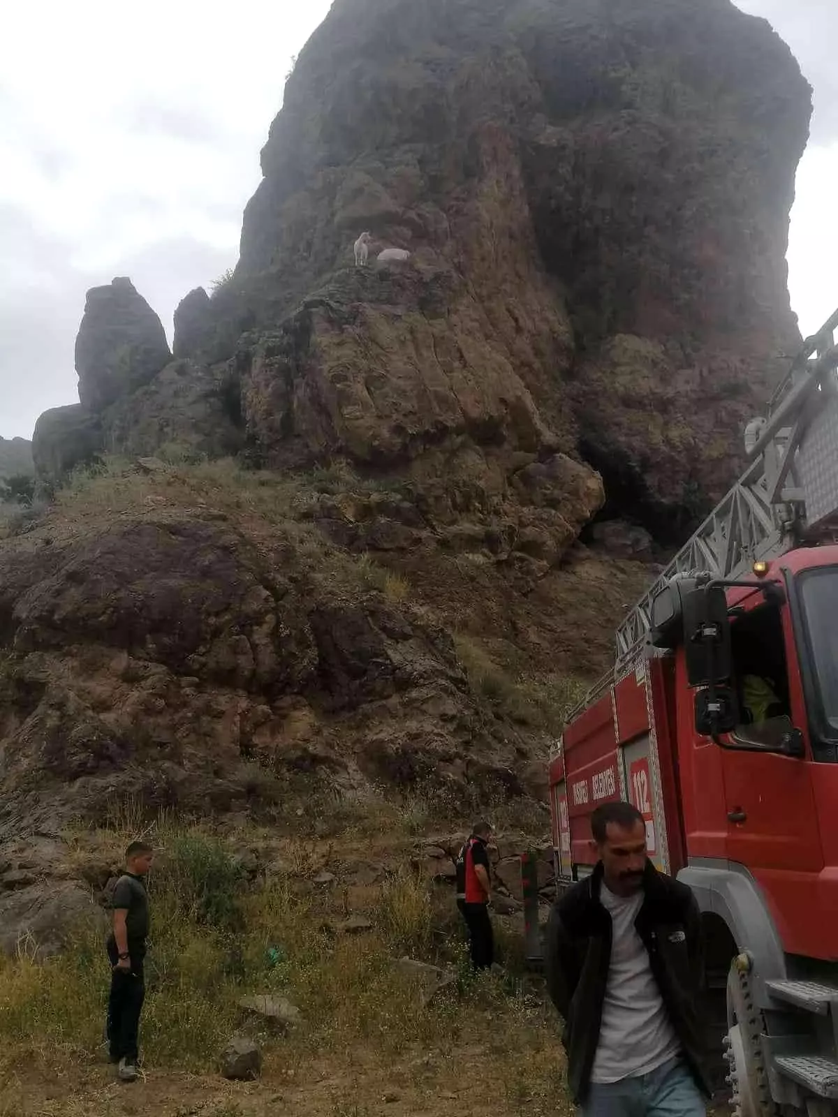 Kayalıklarda mahsur kalan keçiler itfaiye ekipleri tarafından kurtarıldı
