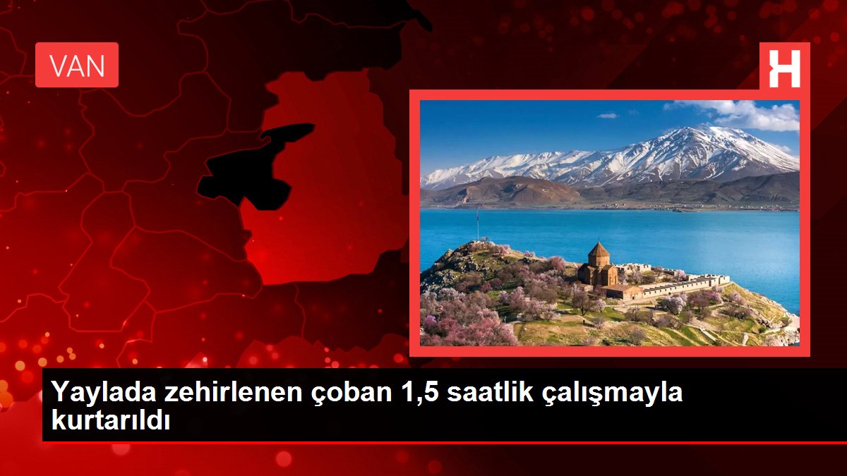 Yaylada zehirlenen çoban 1,5 saatlik çalışmayla kurtarıldı