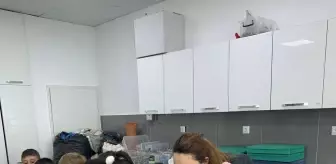 Atakum'da Çocuklardan 'Böcek Müzesi'ne Ziyaret