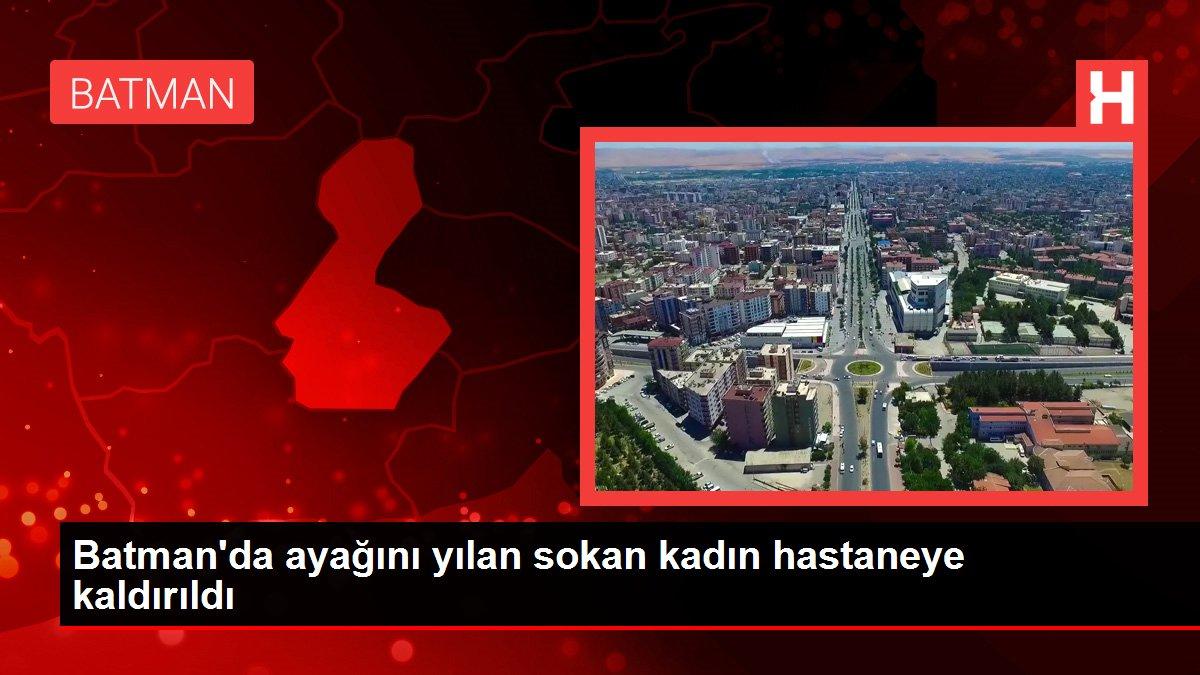 Batman'da ayağını yılan sokan kadın hastaneye kaldırıldı