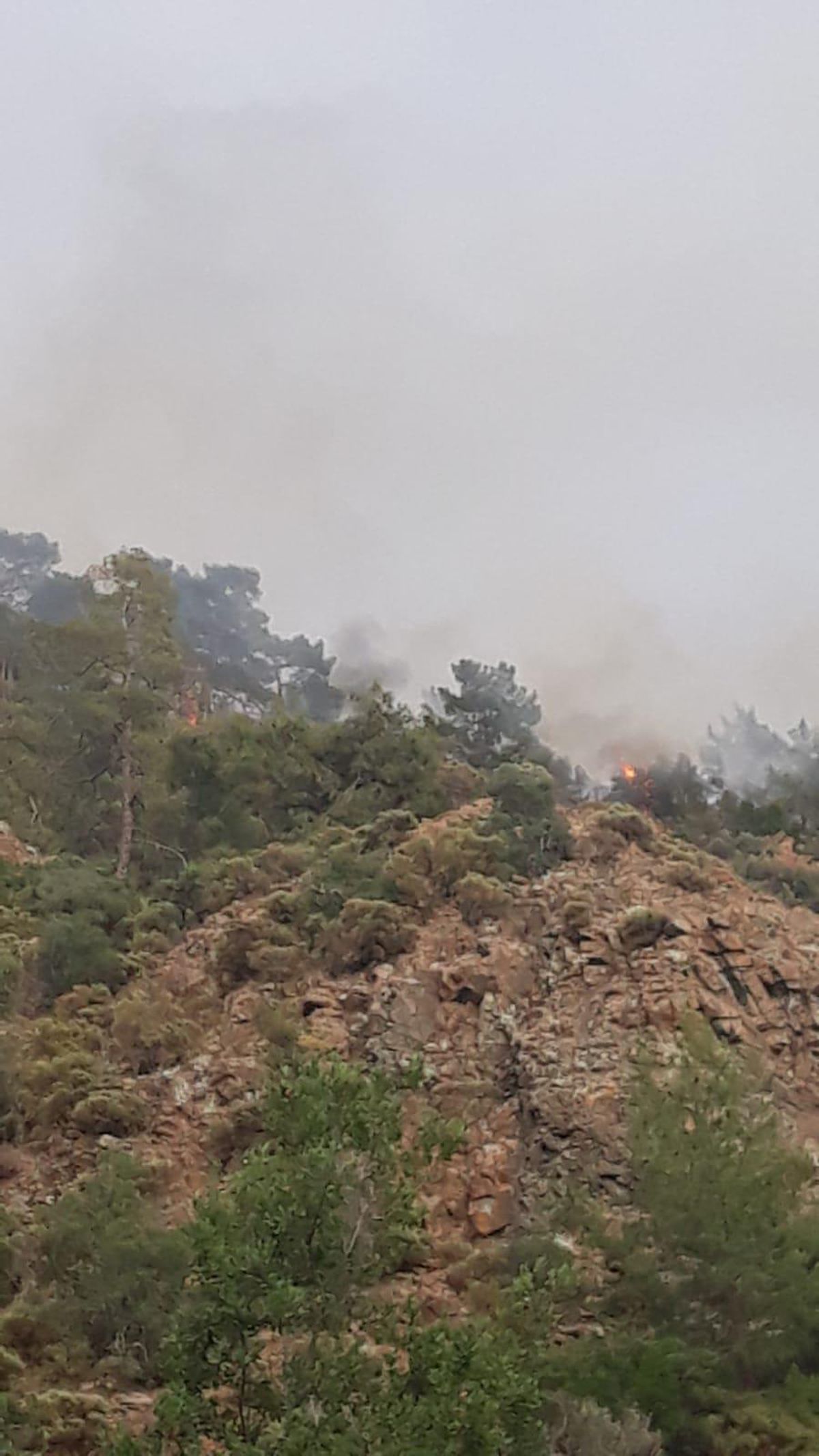 Fethiye\'de yıldırım düşmesi sonucu ormanlık alanda çıkan yangın kontrol altında