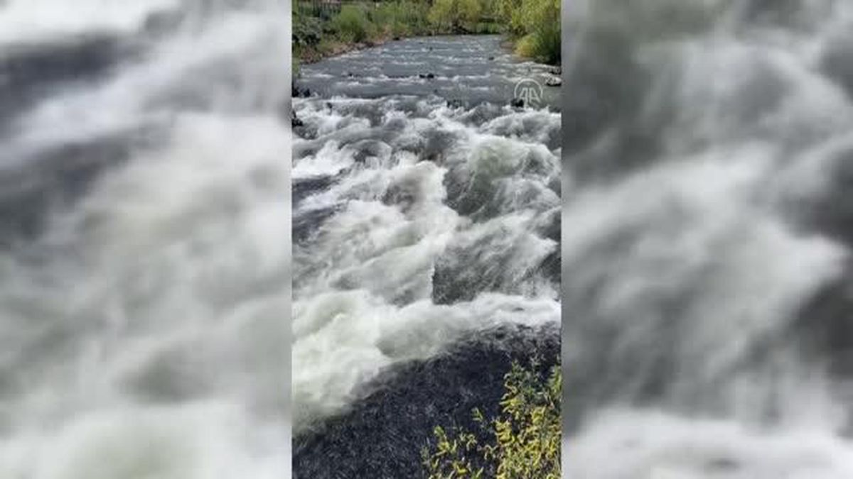 İnci kefalinin yolculuğu devam ediyor