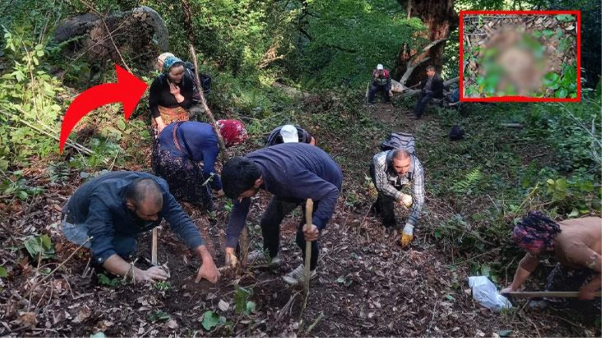 Ot toplayan köylüler kafatası buldu! Toplanan kemikler incelemeye alındı