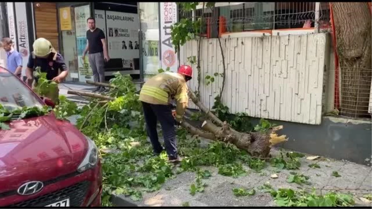 Kadıköy\'de üzerine ağaç devrilen otomobilde hasar oluştu