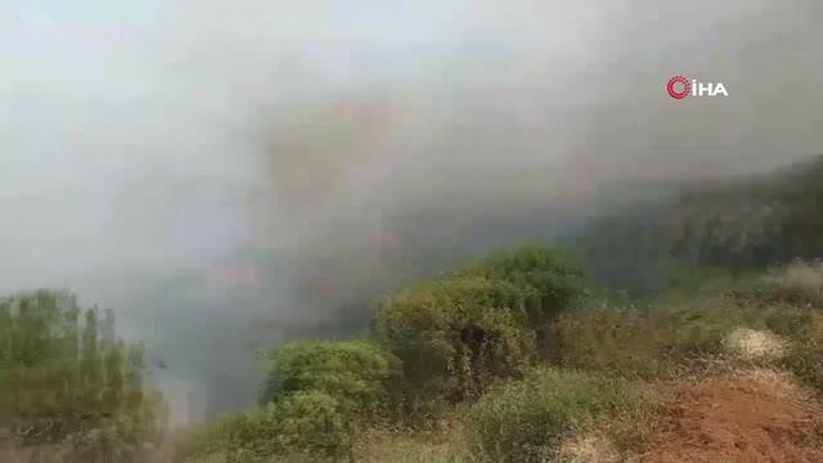 KKTC\'de arazide başlayan yangın ormanlık alana sıçradıAlevlere müdahale sürüyor