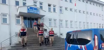 Ordu'da faili meçhul kablo hırsızlığını jandarma aydınlattı