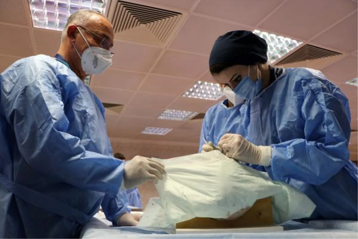 Plastik cerrahi uzmanlarına kadavra üzerinde eğitim --