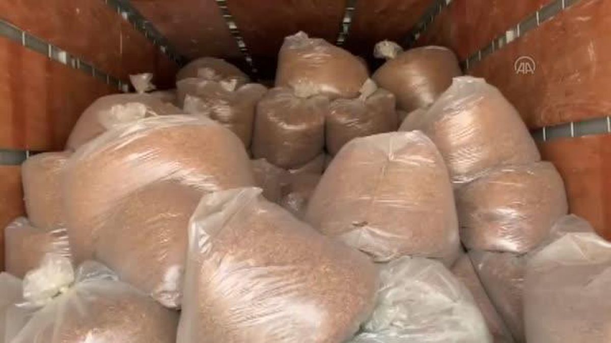 Tırda 7 ton 300 kilogram kaçak tütün ele geçirildi