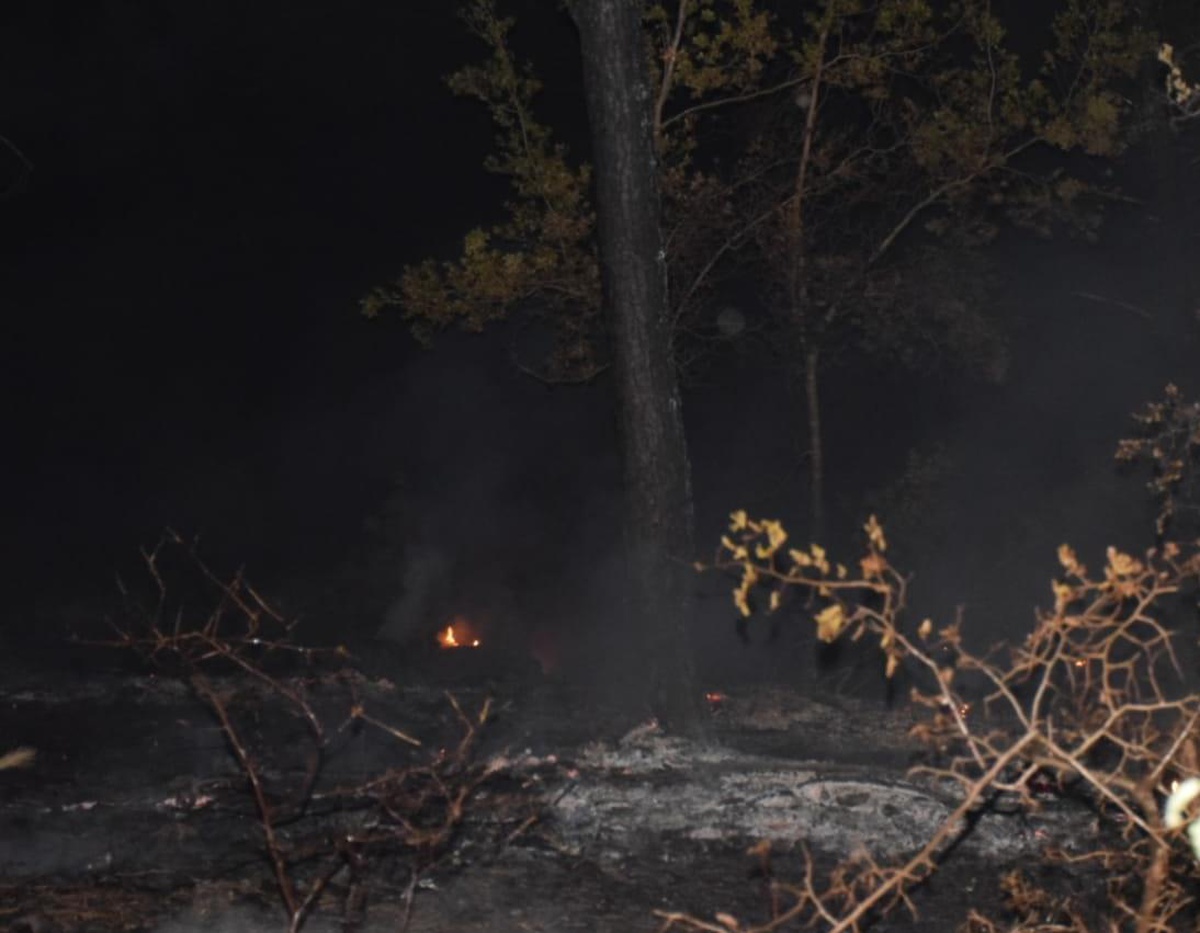 Kozan\'da çıkan orman yangınına müdahale ediliyor (2)
