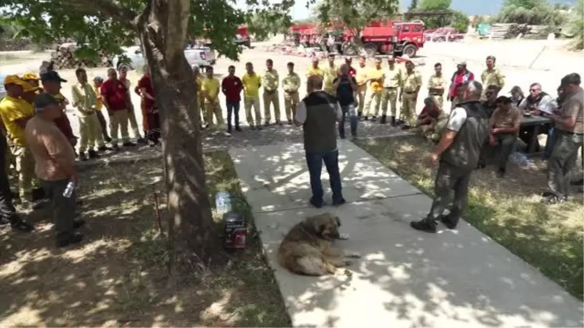 BALIKESİR - Kazdağları\'nda görevli orman işçilerine yangınlarda ilk müdahale anlatıldı