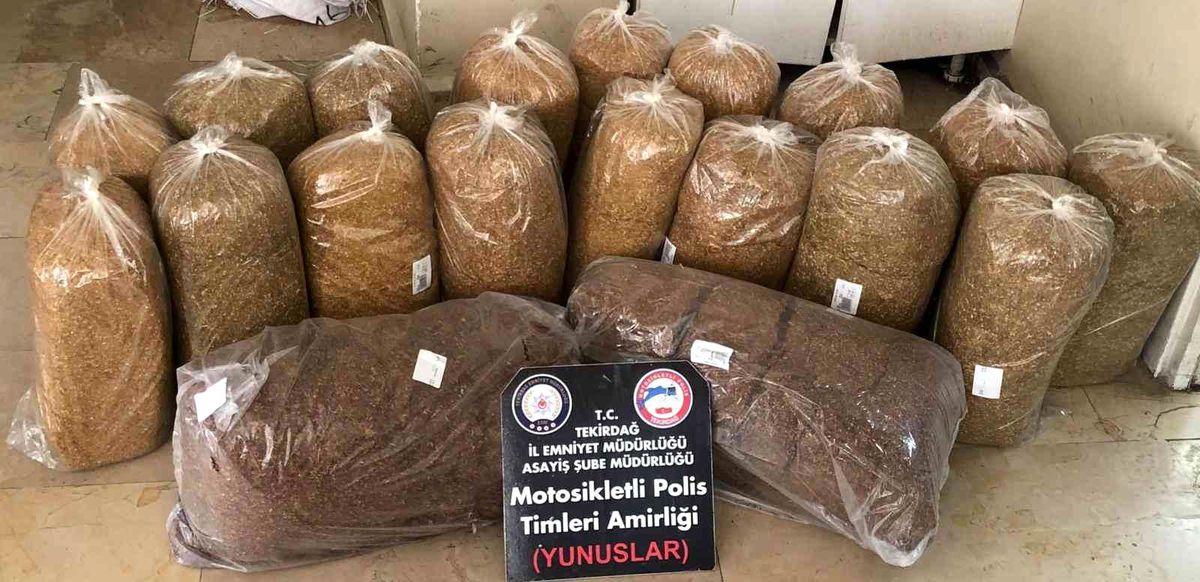 Çorlu\'da Yunuslar suçlulara göz açtırmıyor