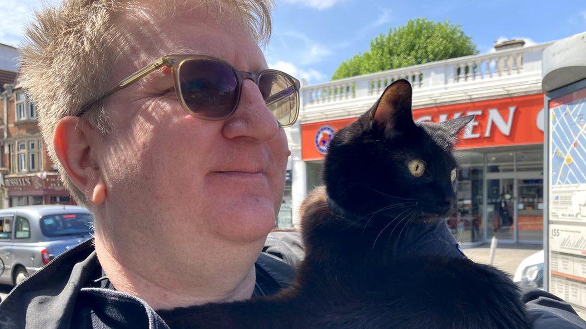 Dev süpermarket zinciri Sainsbury\'ye kedi yasağı yüzünden dava açılabilir