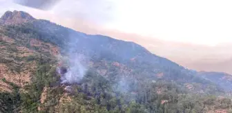 Fethiye'de orman yangını