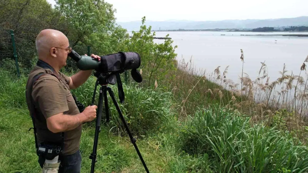 Hersek Lagünü'nün 'kuş hafiyesi' yaban hayatına ışık tutuyor