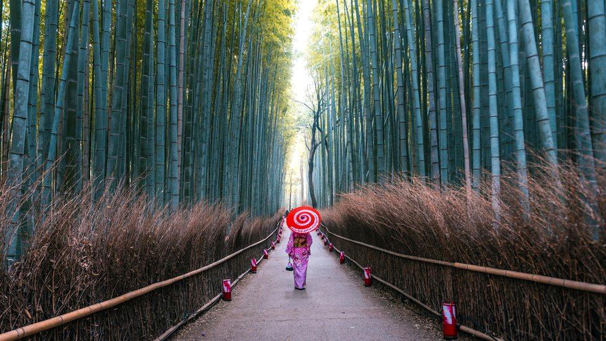 Japonya iki yıl aradan sonra yeniden turistlere kapılarını açıyor