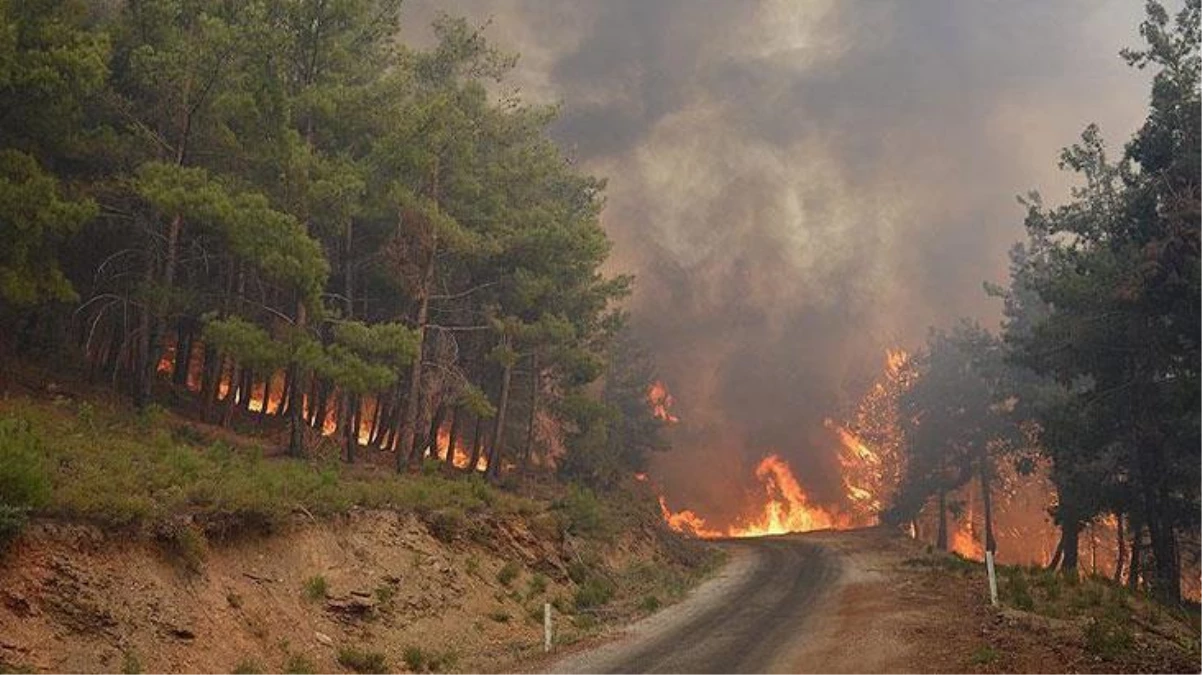 Bu yaz yaşanabilecek orman yangınları için önlemler alındı! Geçen sene 3 olan uçak sayısı bu yıl 20\'ye, 39 olan helikopter sayısı 55\'e yükseltildi