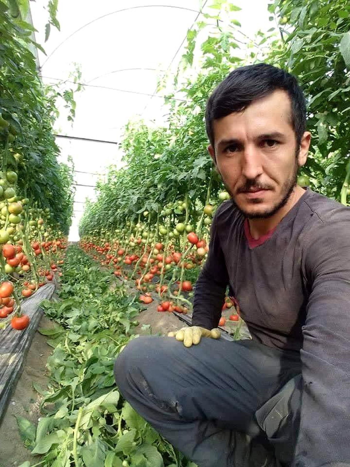 Muğla\'da bacanağı tarafından av tüfeğiyle vurulan kişi yaşamını yitirdi