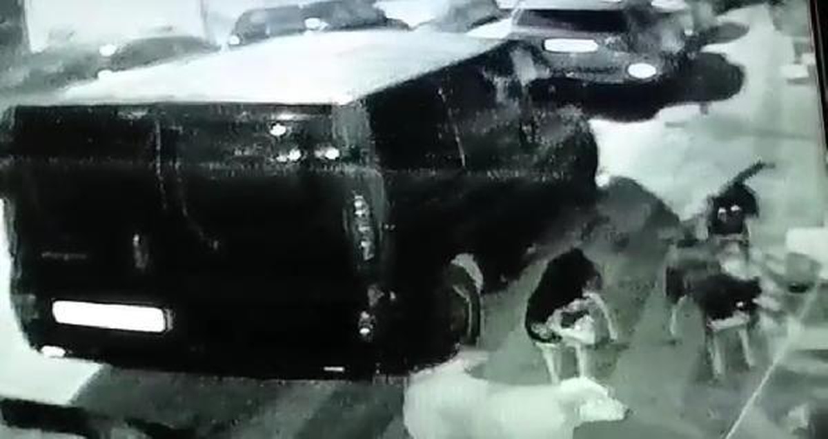Sultangazi\'de sürü halinde gezen köpekler kedileri öldürdü