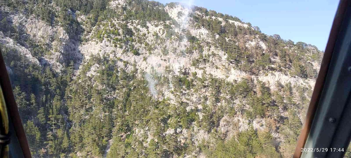 Alanya\'da orman yangını