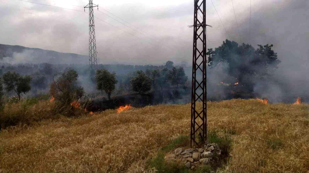 Bozdoğan\'da zirai alanda yangın çıktı