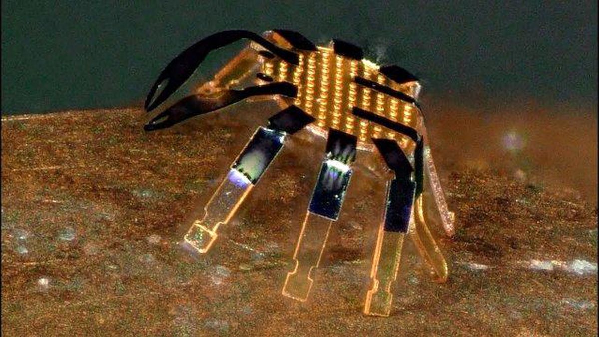 Bu mikro robotlar sağlık sektöründe çığır açacak!