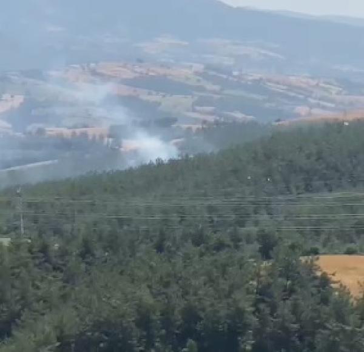 Kozan\'da yeniden çıkan orman yangını kontrol altına alındı