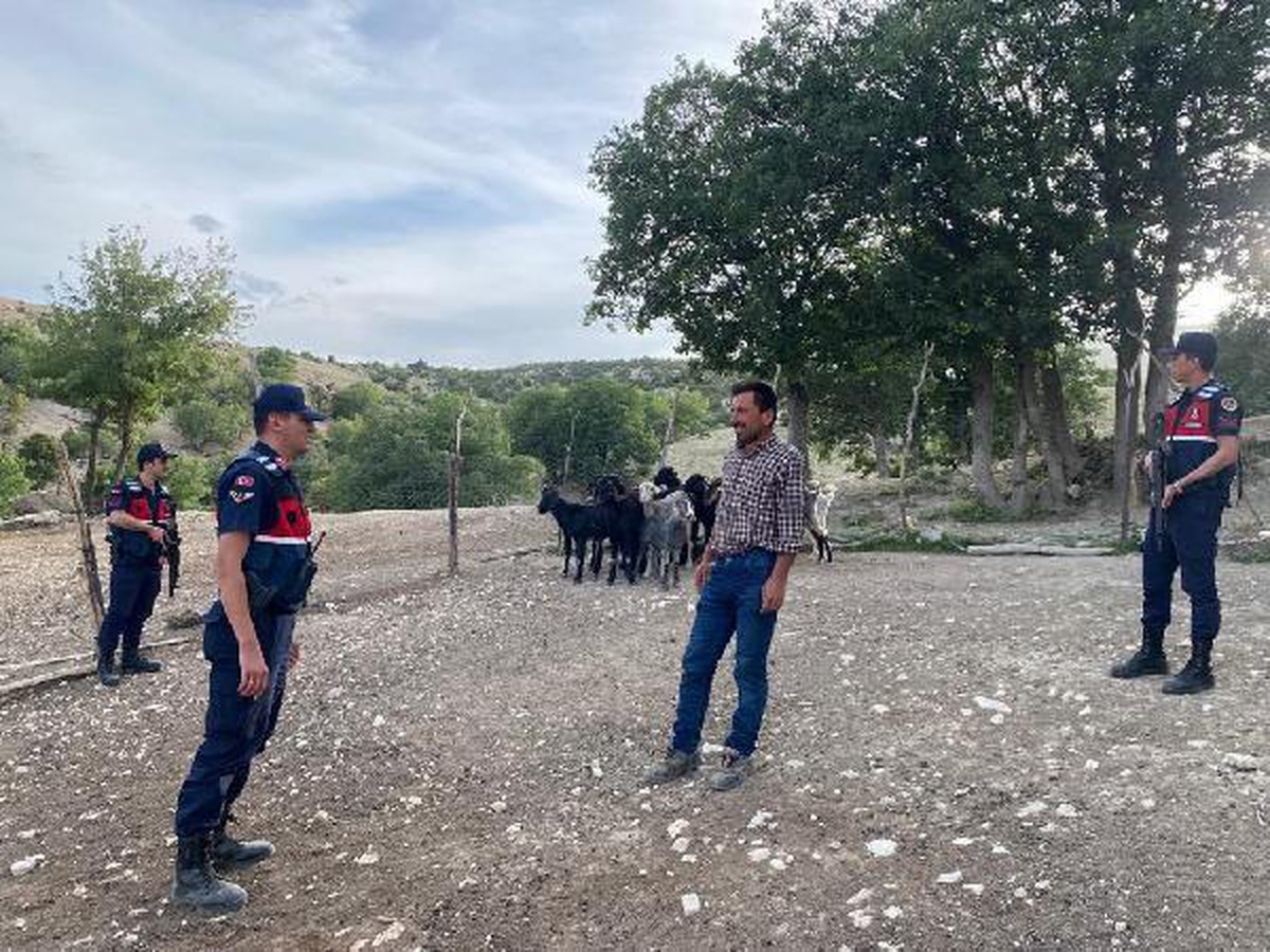 Kurt saldırısından kaçan 30 keçi dronla arandı (2)