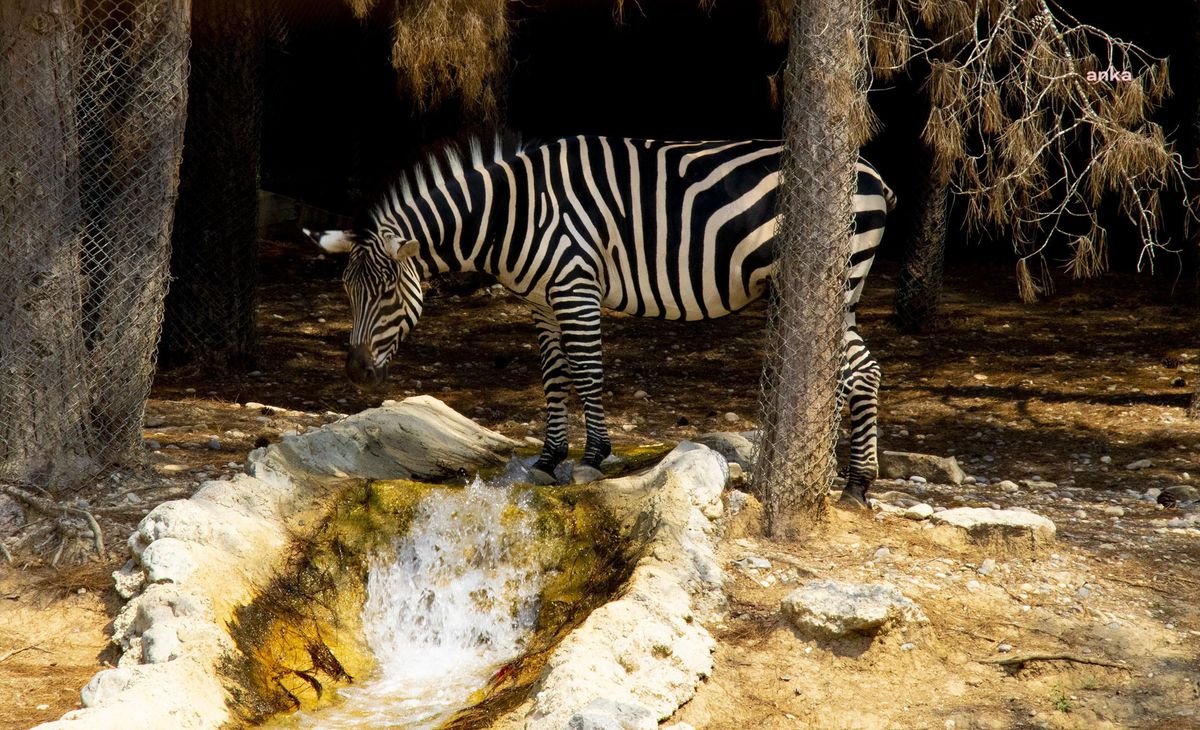 Mersin Büyükşehir, Kent Turu Projesi'nin Sınırlarını Genişletiyor