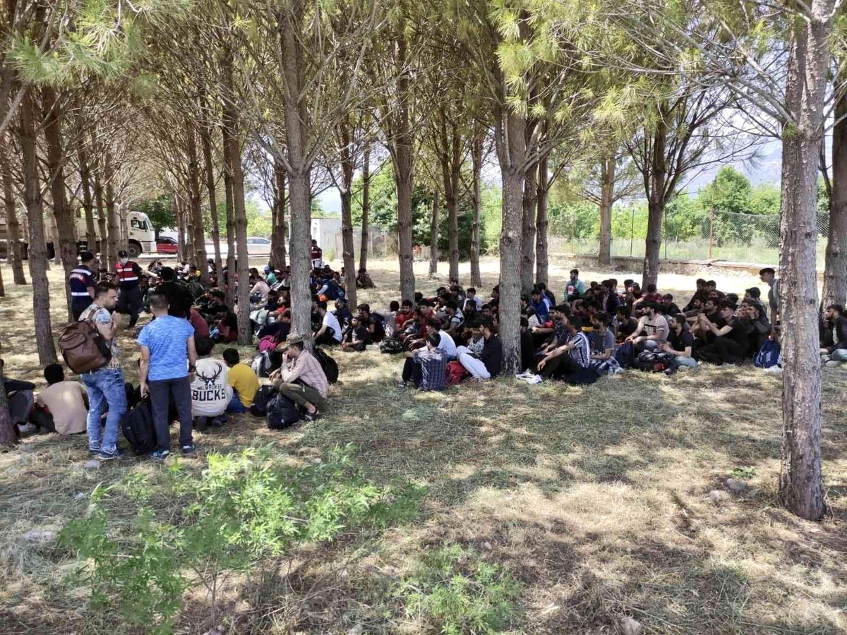 Muğla\'da 237 göçmenin yakalandığı operasyonda 3 tutuklama