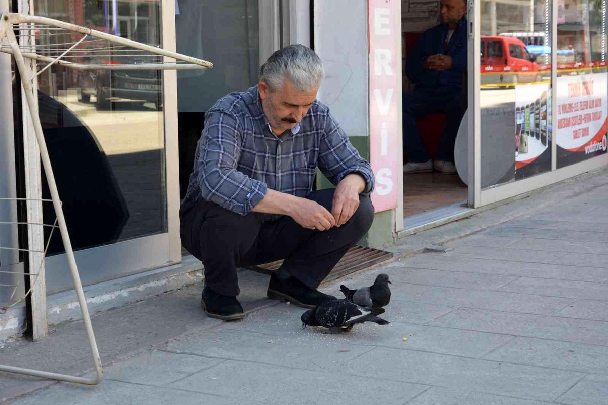 Ordu\'da berberin güvercinlerle dostluğu
