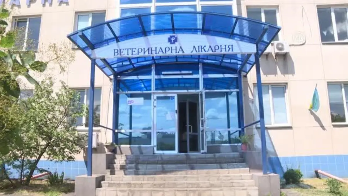 Ukrayna'daki savaşın 'masum can'ları Kiev'de tedavi altında