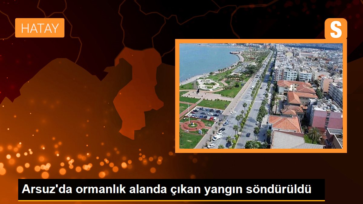 Arsuz\'da ormanlık alanda çıkan yangın söndürüldü