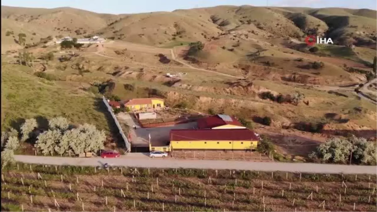 Çitliğini korumak için aldı köpek, az kalsın canından ediyordu: Orta parmağı koptu