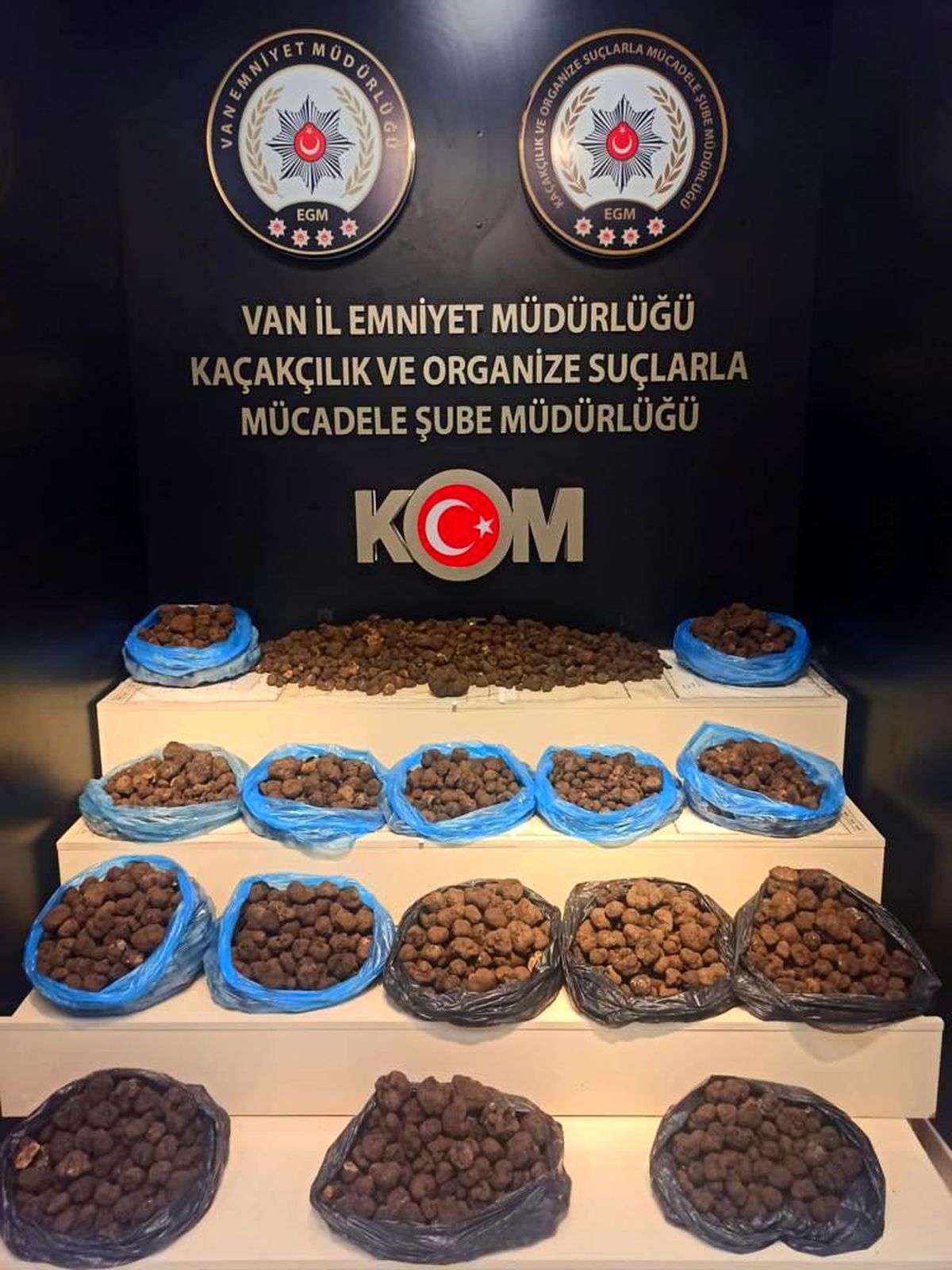 Van\'da 97,5 kilogram kaçak trüf mantarı ele geçirildi