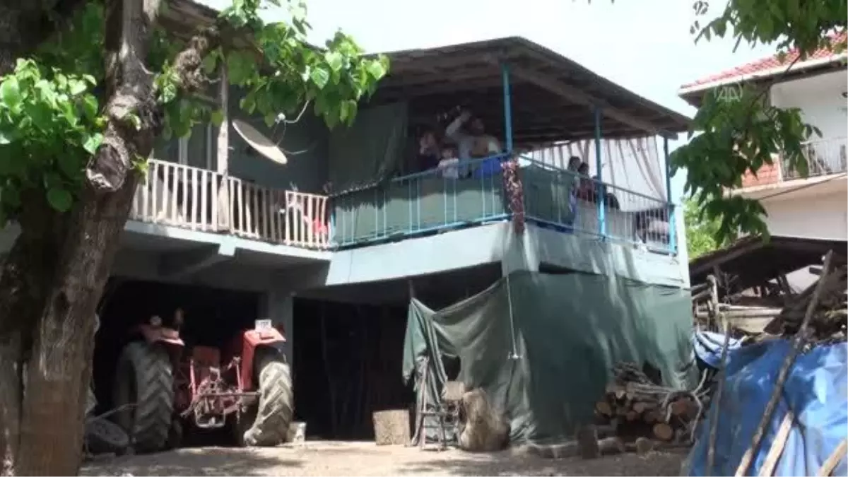 Ayı saldırısına uğrayan kişi yaralandı