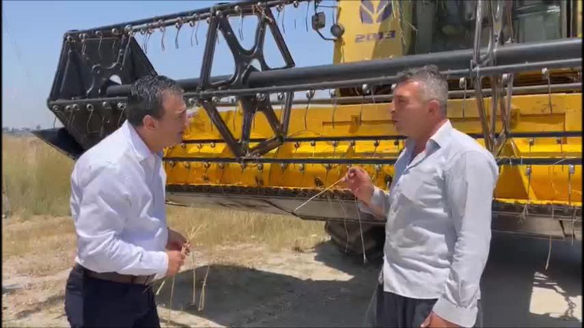 Biçerdöver Operatörü: 'Fiyatlar Açıklanmadığı İçin Çiftçi Ekinini Bekletiyor, Sıcağı Yiyen Buğdayın Verimi Düşüyor'