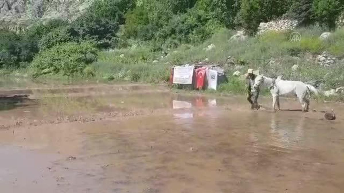 Çiftçilere çeltik ve susam tohumu dağıtıldı