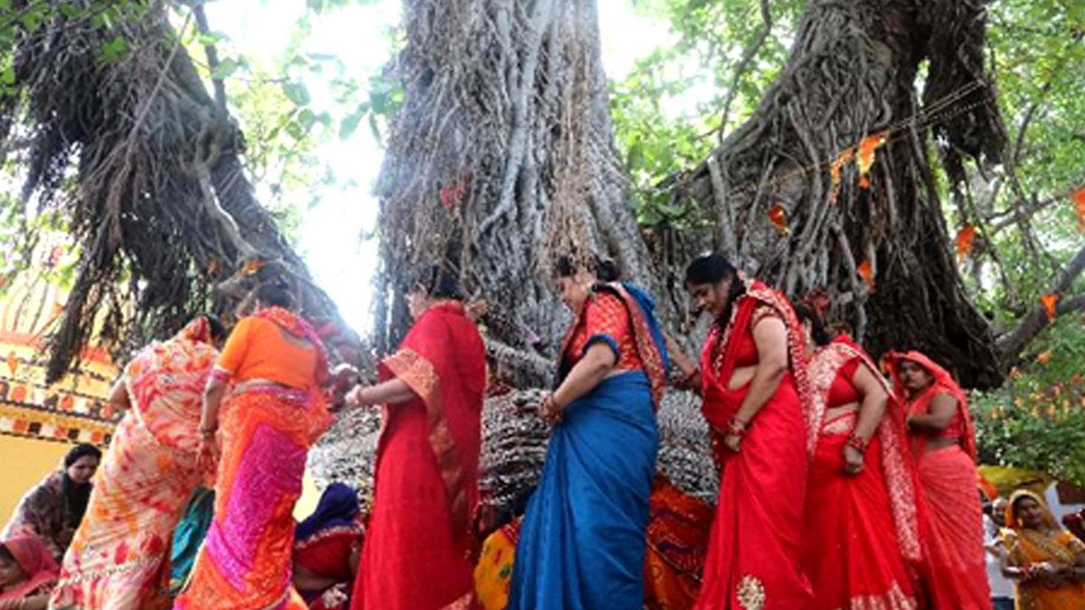 Fotoğraf Hindistan\'da Vat Savitri Puja Festivali Kutlanıyor