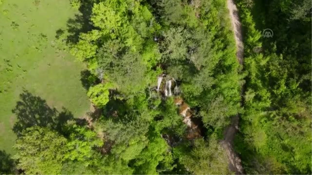 KASTAMONU - Yeşilin tonları arasındaki şelale: Okçular